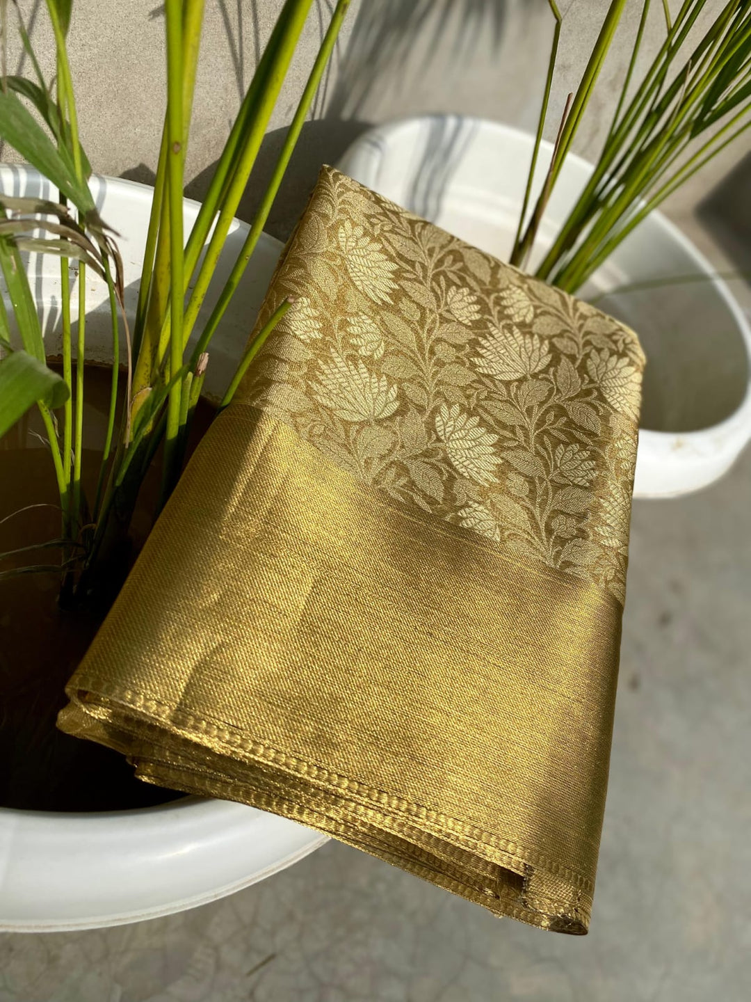 The Golden Lily Banarasi Tissue Silk Saree