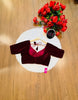 Season Of Velvet- Designer Blouse (Maroon)