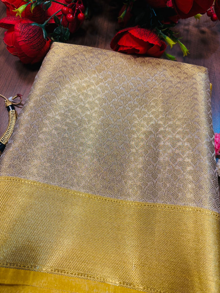 Timeless Heritage -Banarasi Tissue Silk