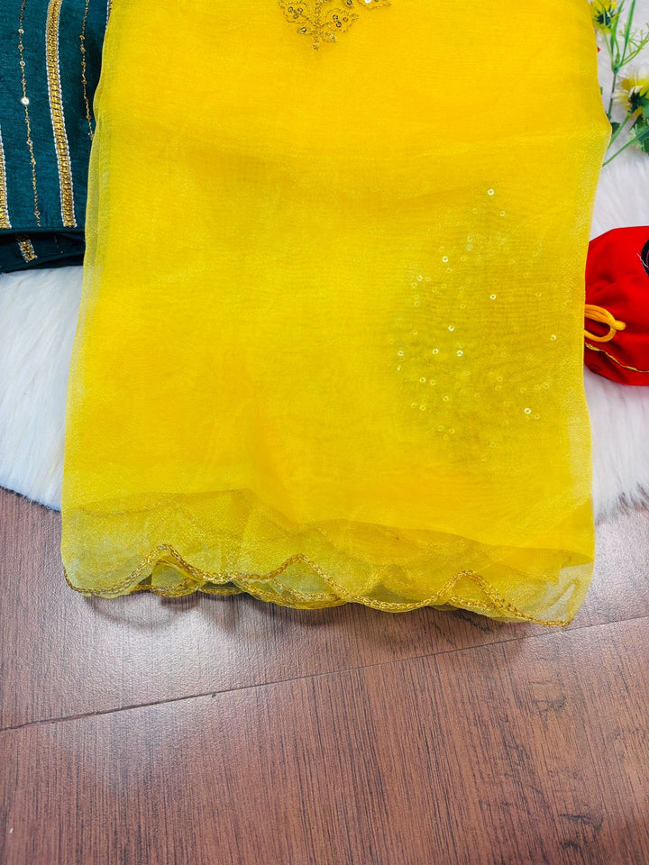 Brightest Designer Organza Saree