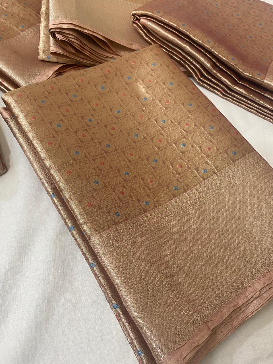 Rani Mukherjee Inspied Minakari Tissue Silk Saree