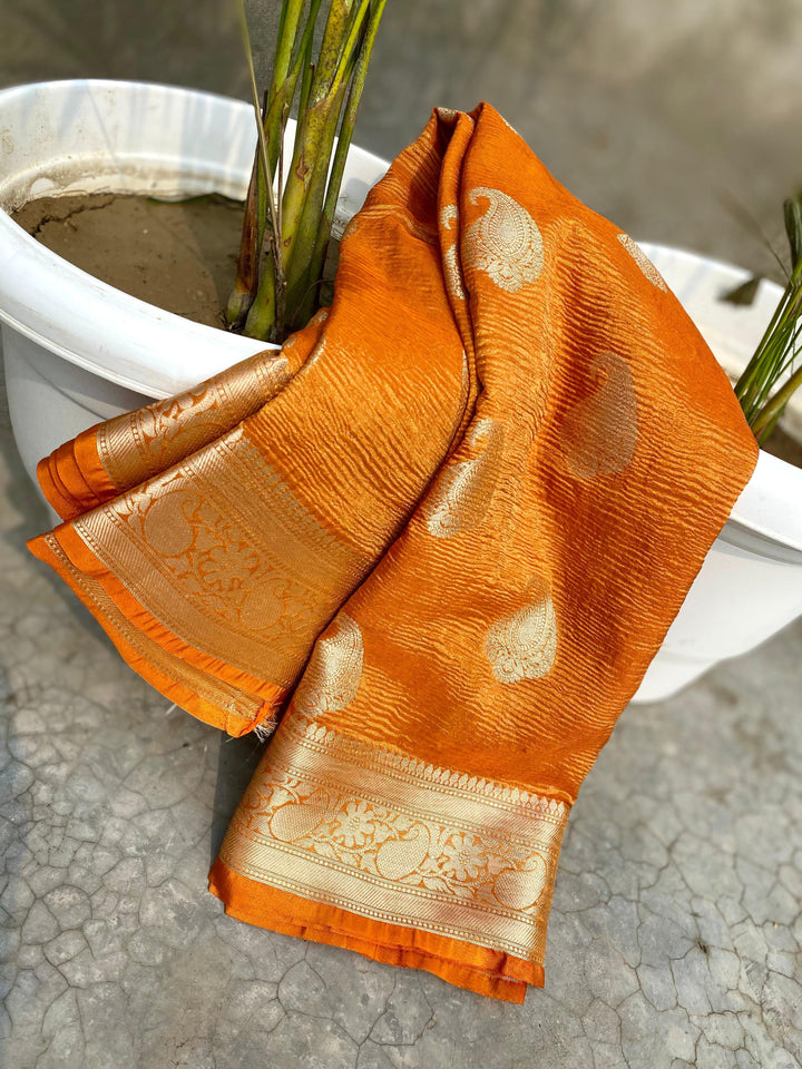 Inner Harmony Banarasi Tissue Silk Saree