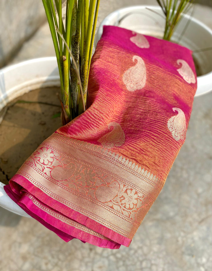 Inner Harmony Banarasi Tissue Silk Saree