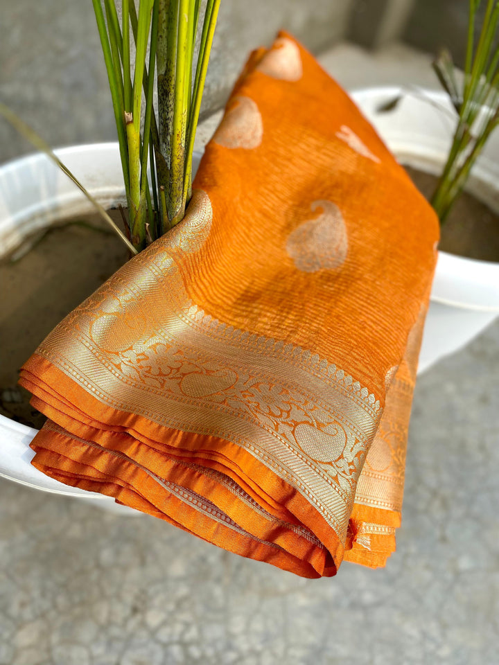 Inner Harmony Banarasi Tissue Silk Saree