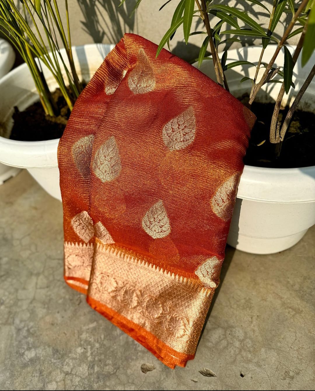 Before Sunrise Banarasi Katan Orange Tissue Saree