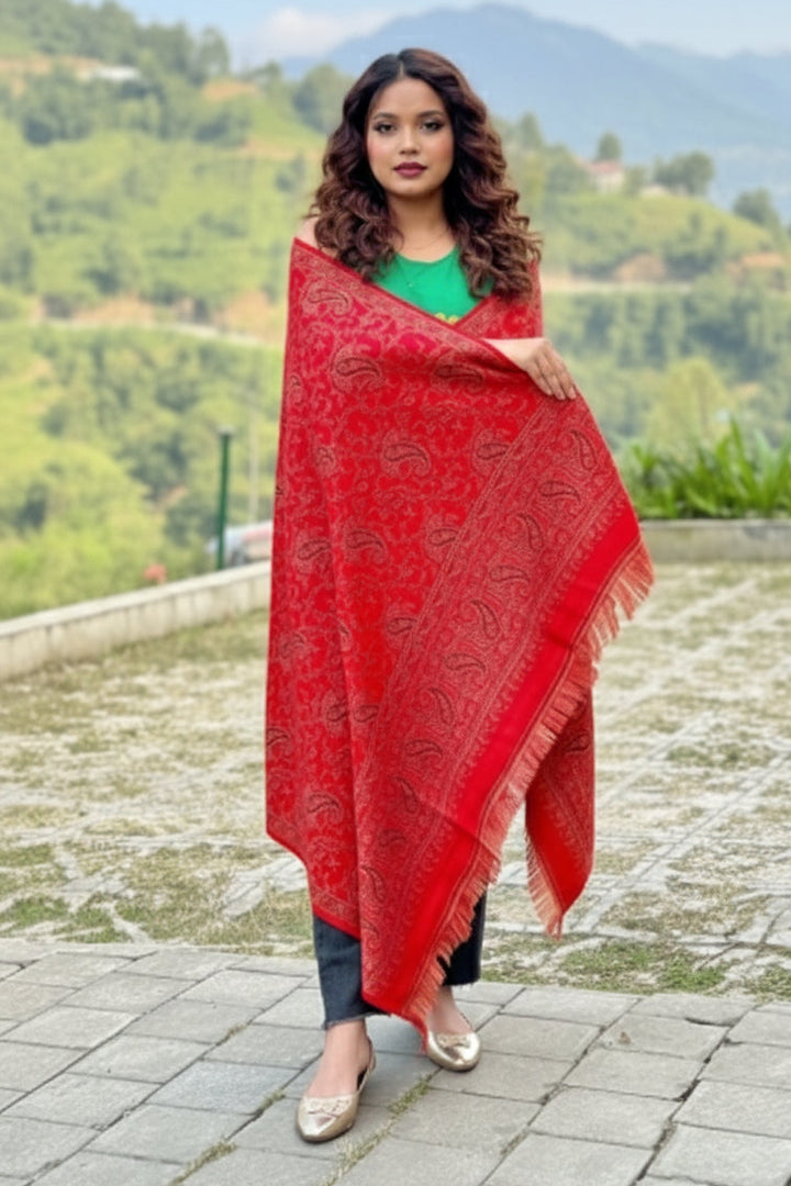 Another Winter Time Shawl