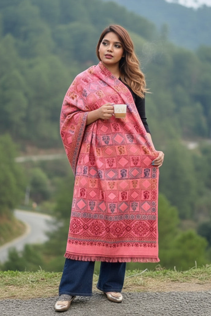 Deal Of The Winter-Women Shawl Collection