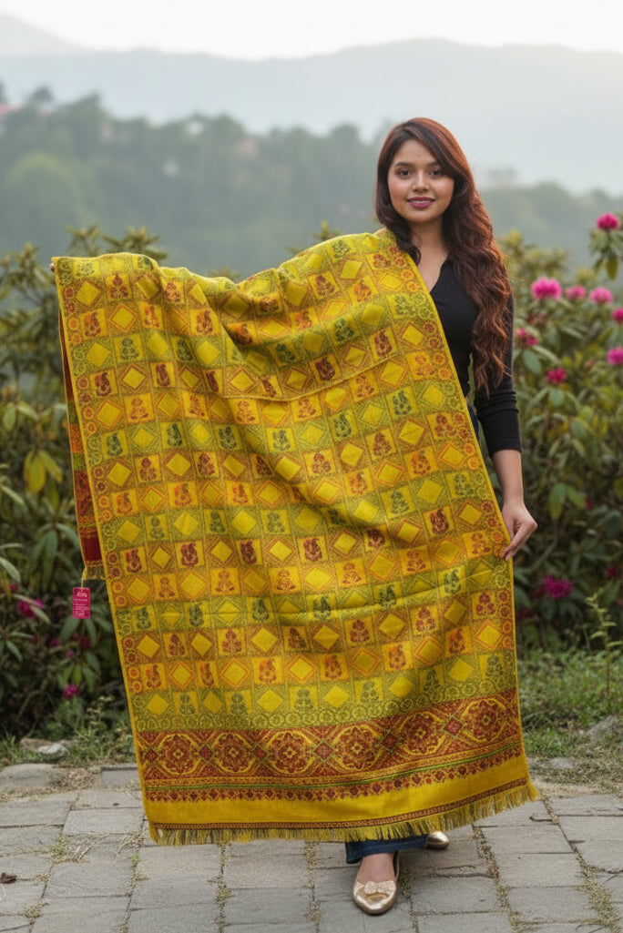 Deal Of The Winter-Women Shawl Collection