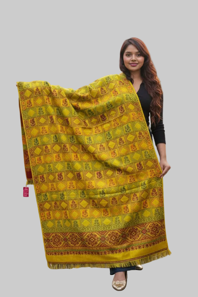 Deal Of The Winter-Women Shawl Collection