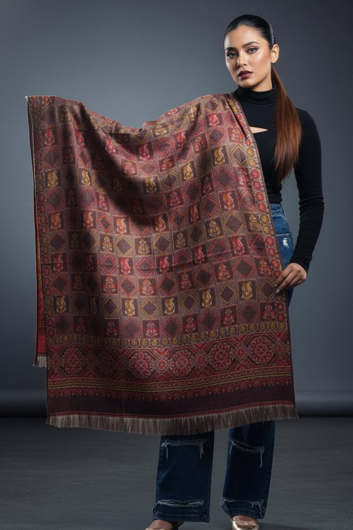 Deal Of The Winter-Women Shawl Collection