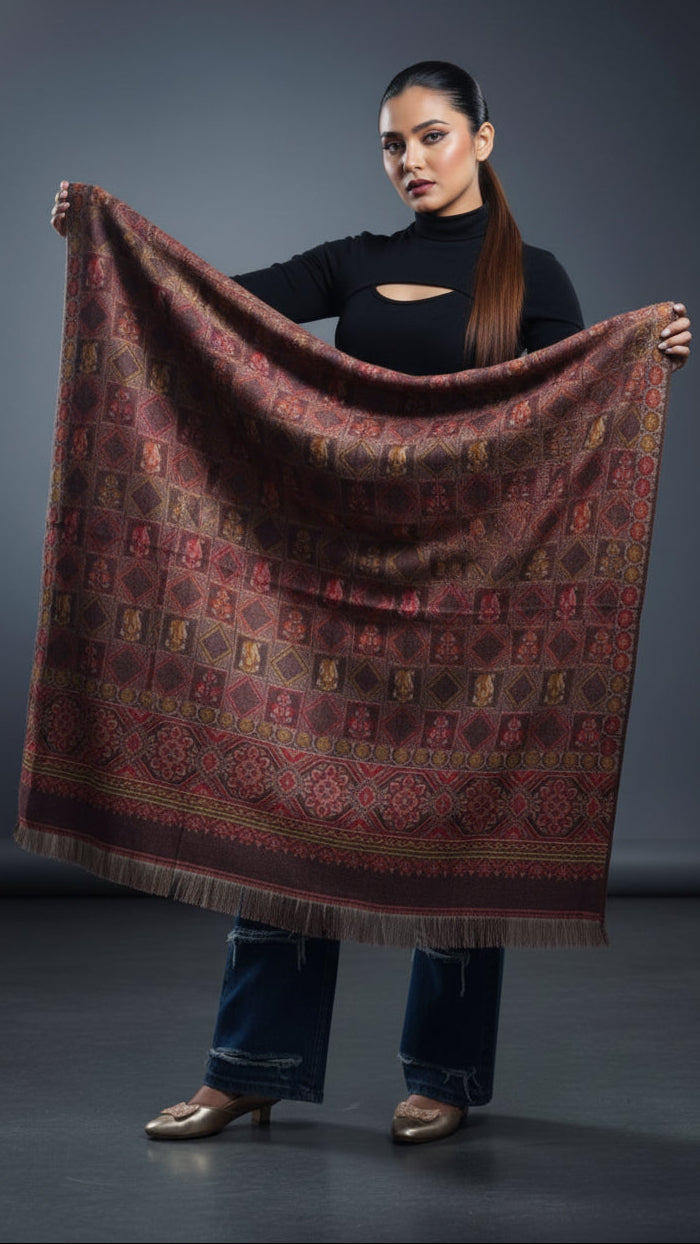Deal Of The Winter-Women Shawl Collection