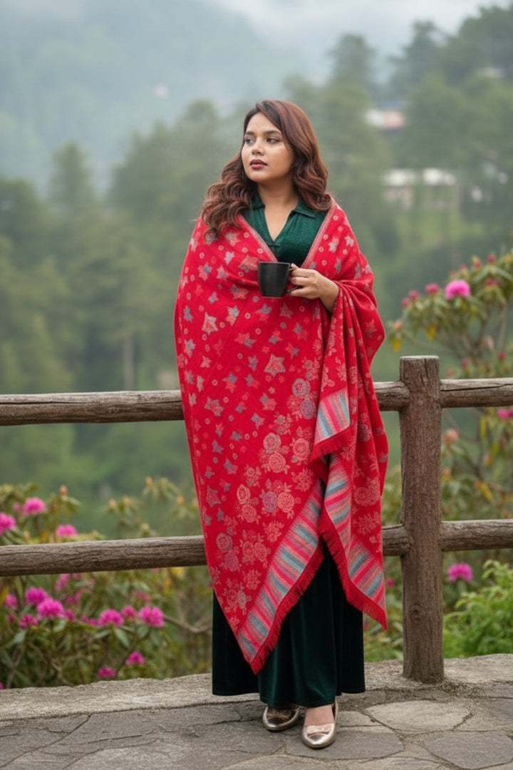 Winter Days-Women Shawl Collection