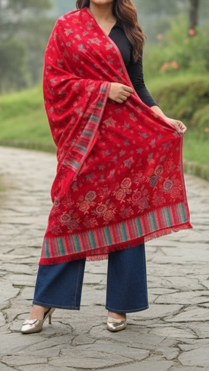 Winter Days-Women Shawl Collection