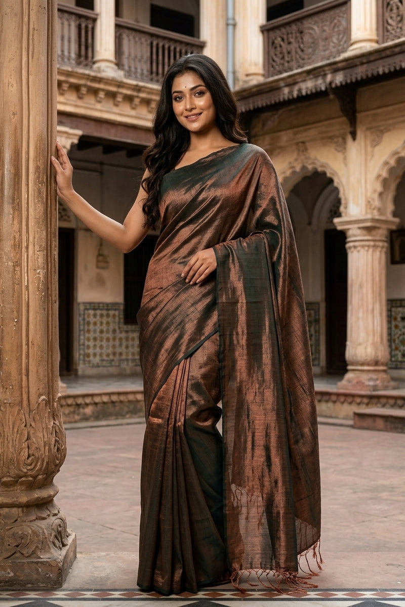 Parineeta-  A Endless Story