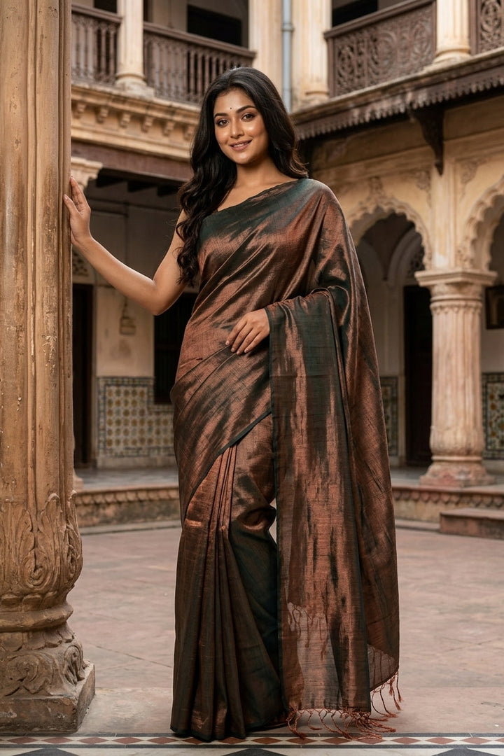 Parineeta-  A Endless Story