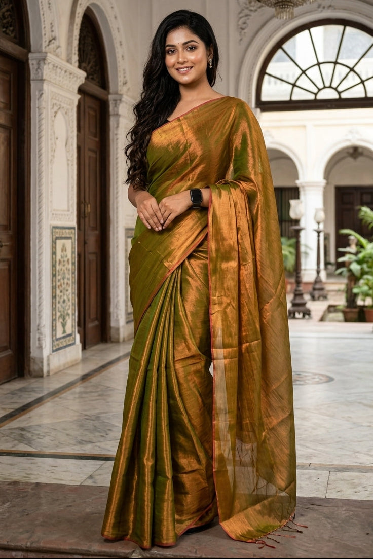 Parineeta-  A Endless Story
