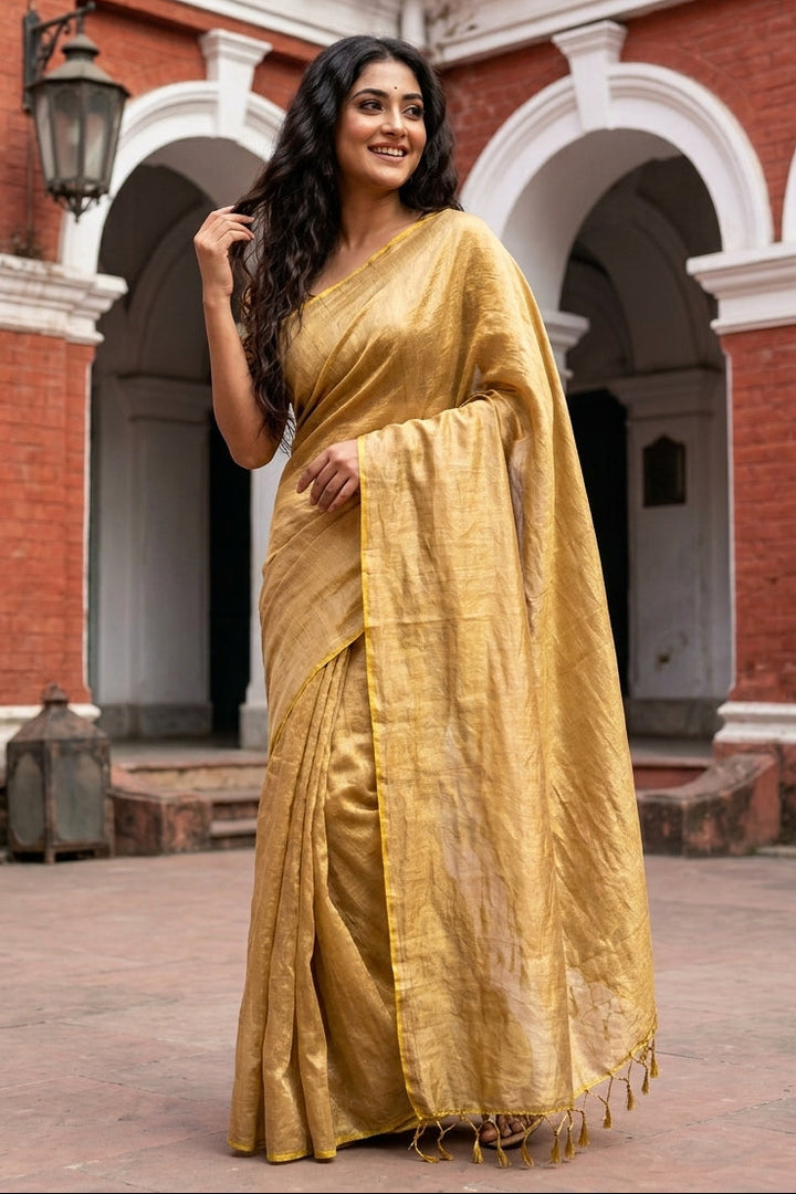 Parineeta-  A Endless Story