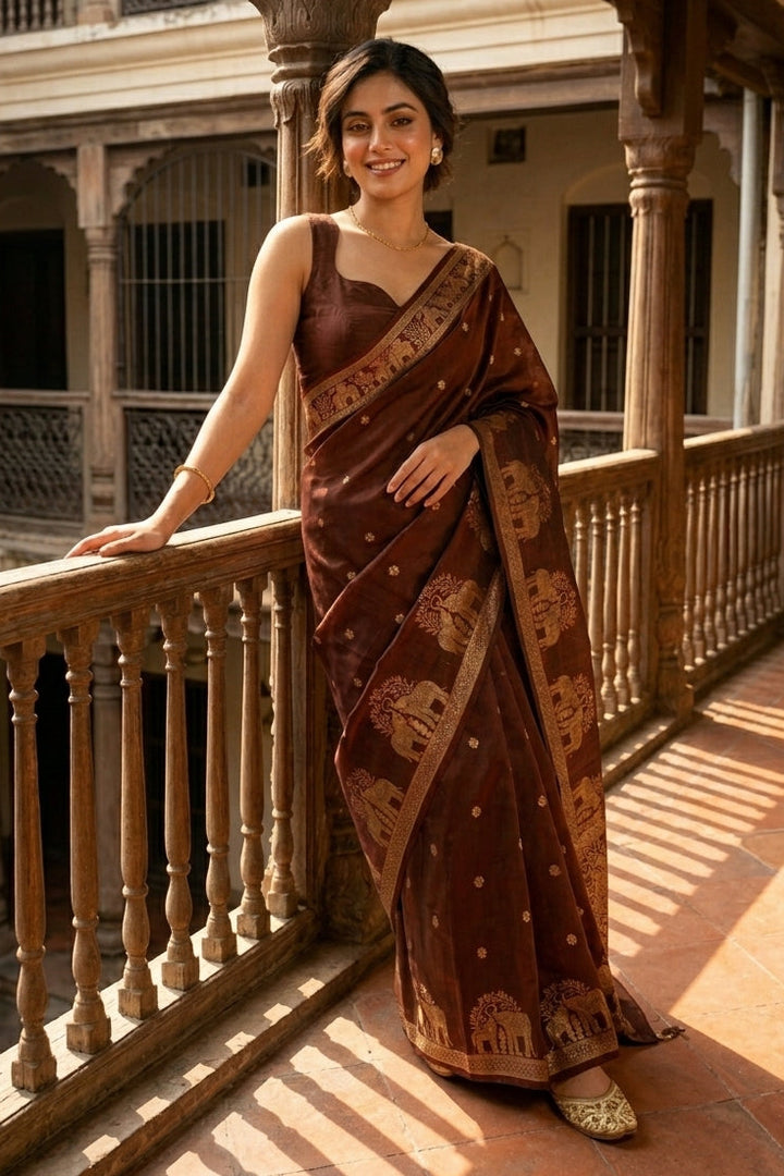 Blossom Drizzle Muslin Silk Saree