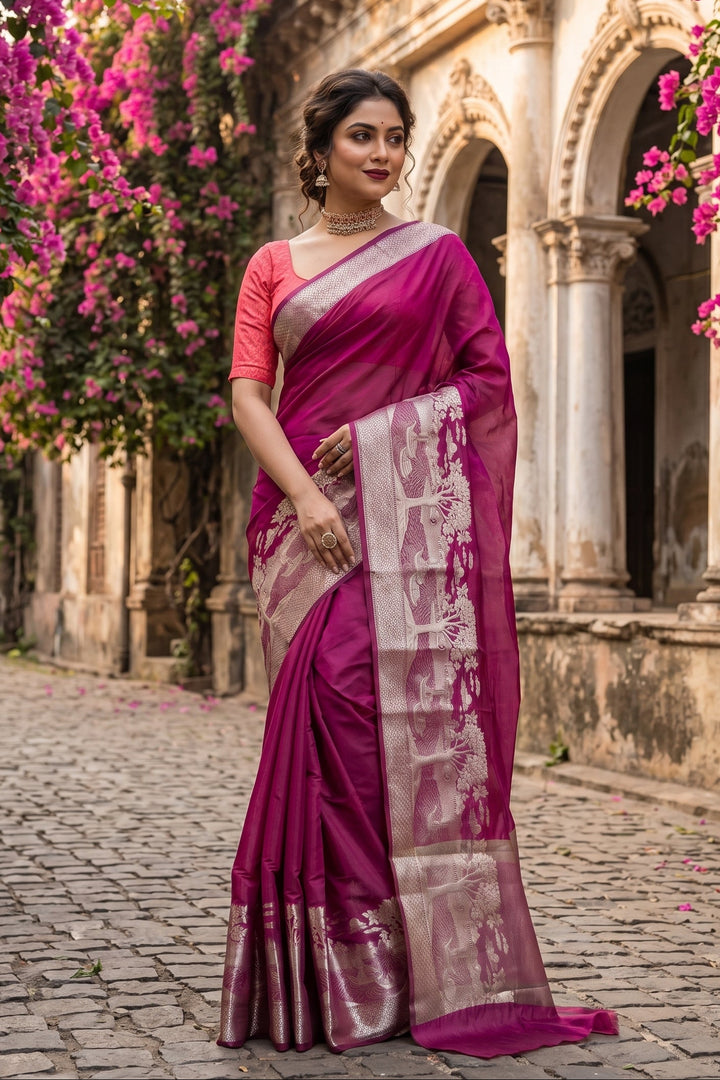 Nadi Ghat Banarasi Fancy silk Saree