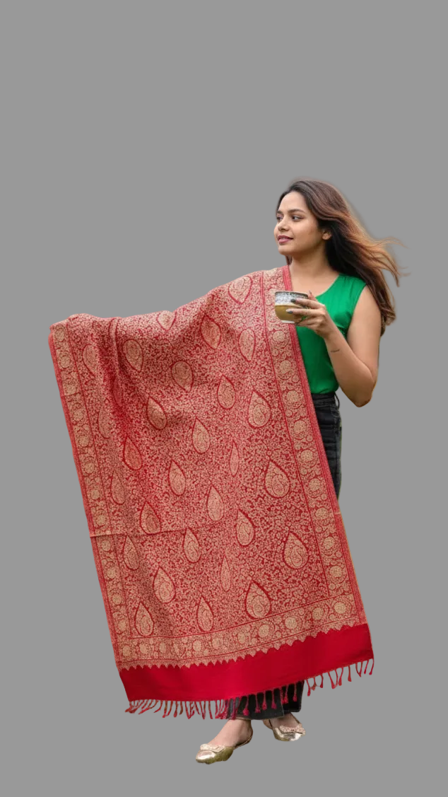 Darjeeling Vives- Women Shawl Collection