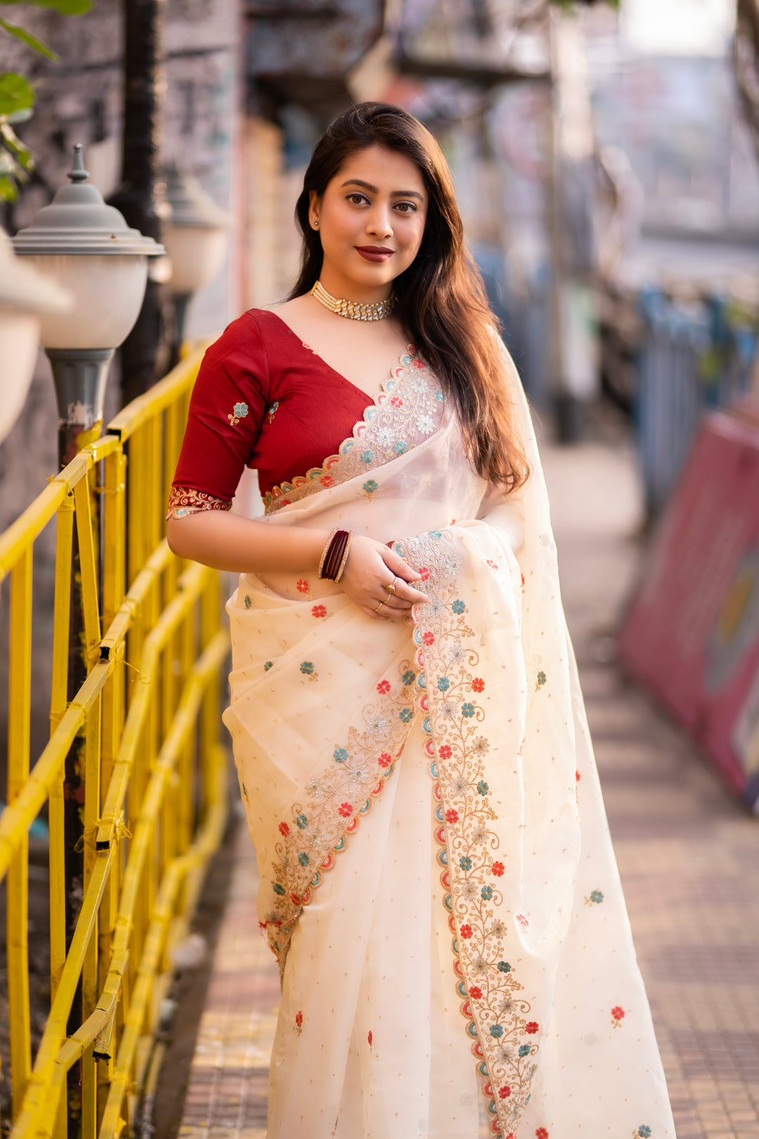 Organza Bonanza ( Saree)