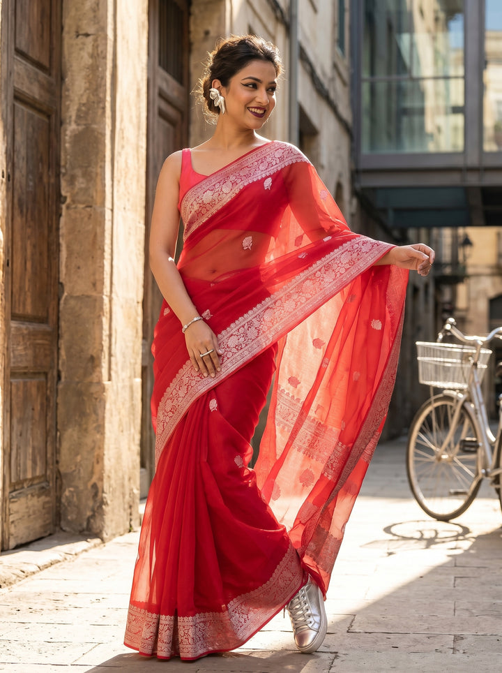 Khaddi Chiffon Handloom Banarasi