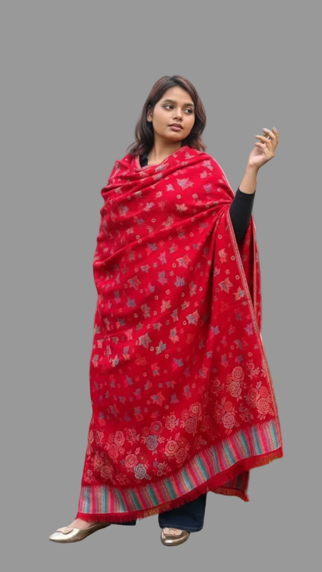 Winter Days-Women Shawl Collection