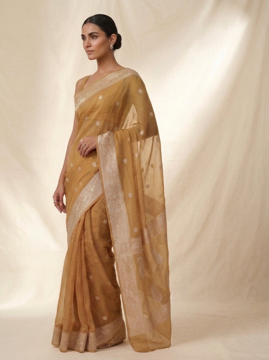 The Silver Heirloom – Khaddi Chiffon Banarasi Saree