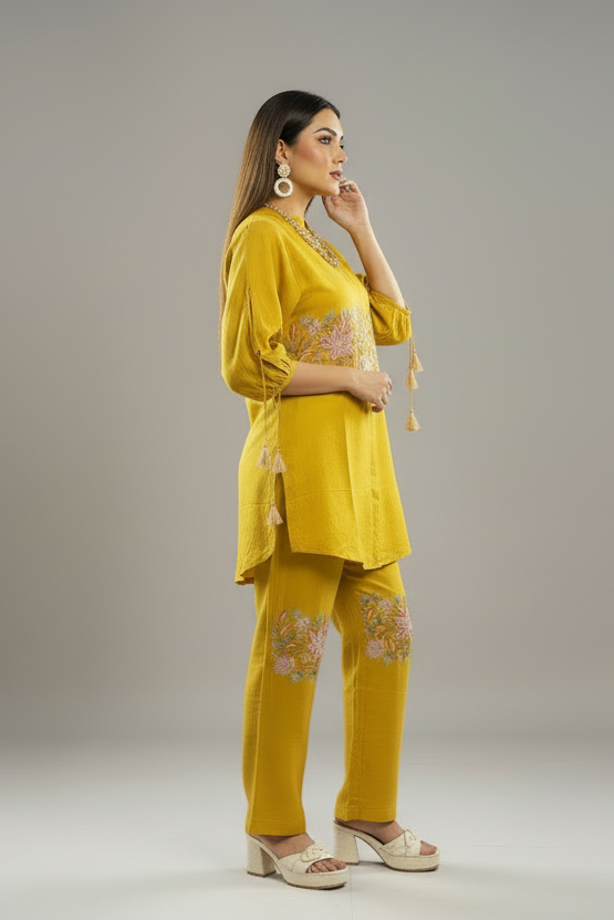 Balloon sleeves Co-Ord Set