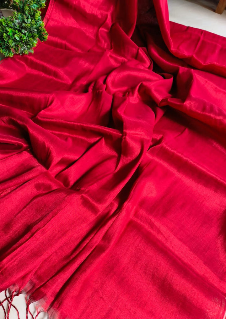 Parineeta-  A Endless Story