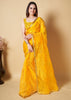 It Can Be You - Embroidery Organza Saree
