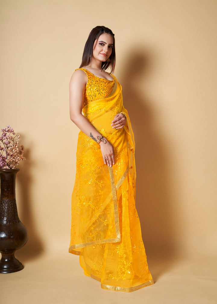 It Can Be You - Embroidery Organza Saree