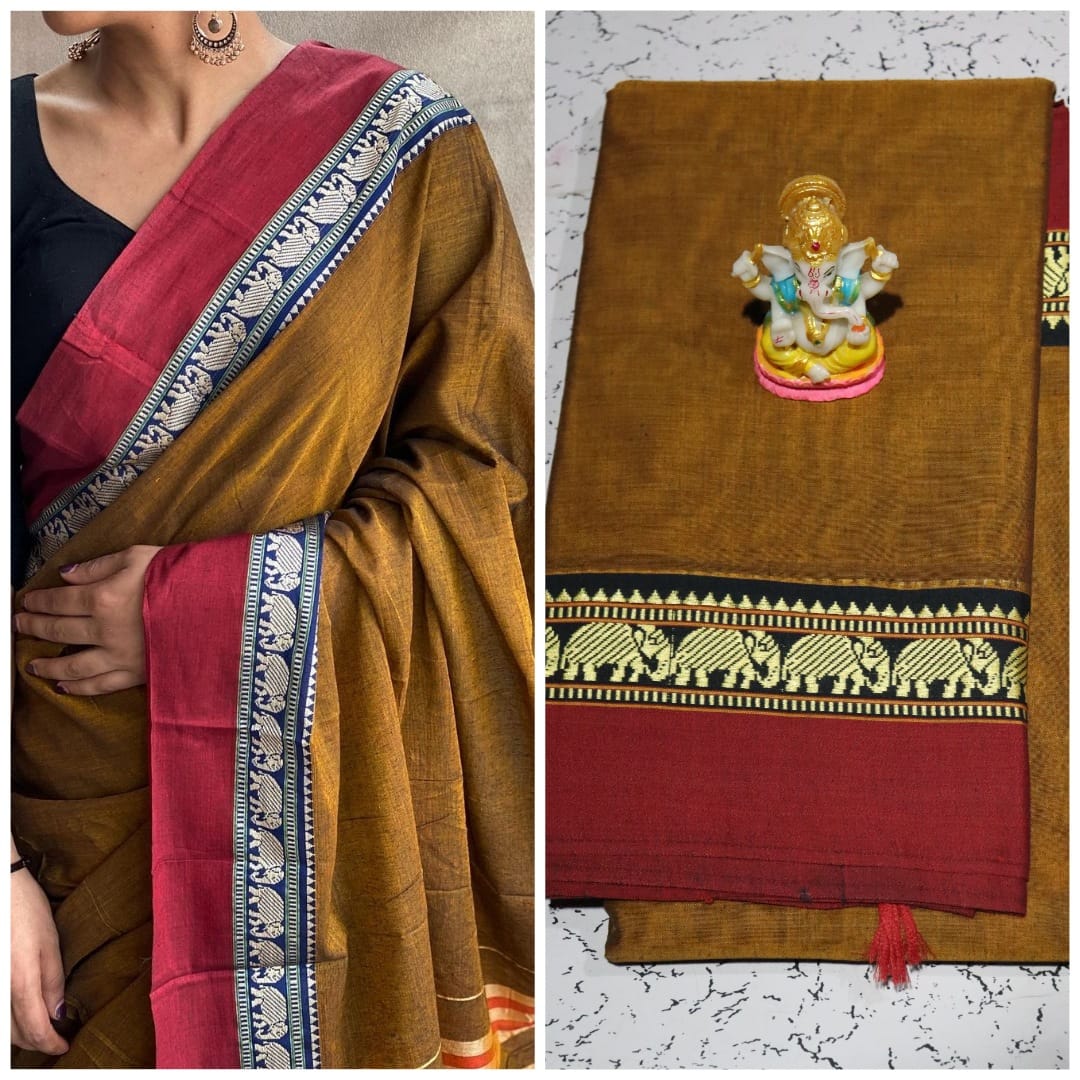 Airavat - A Traditional Saree