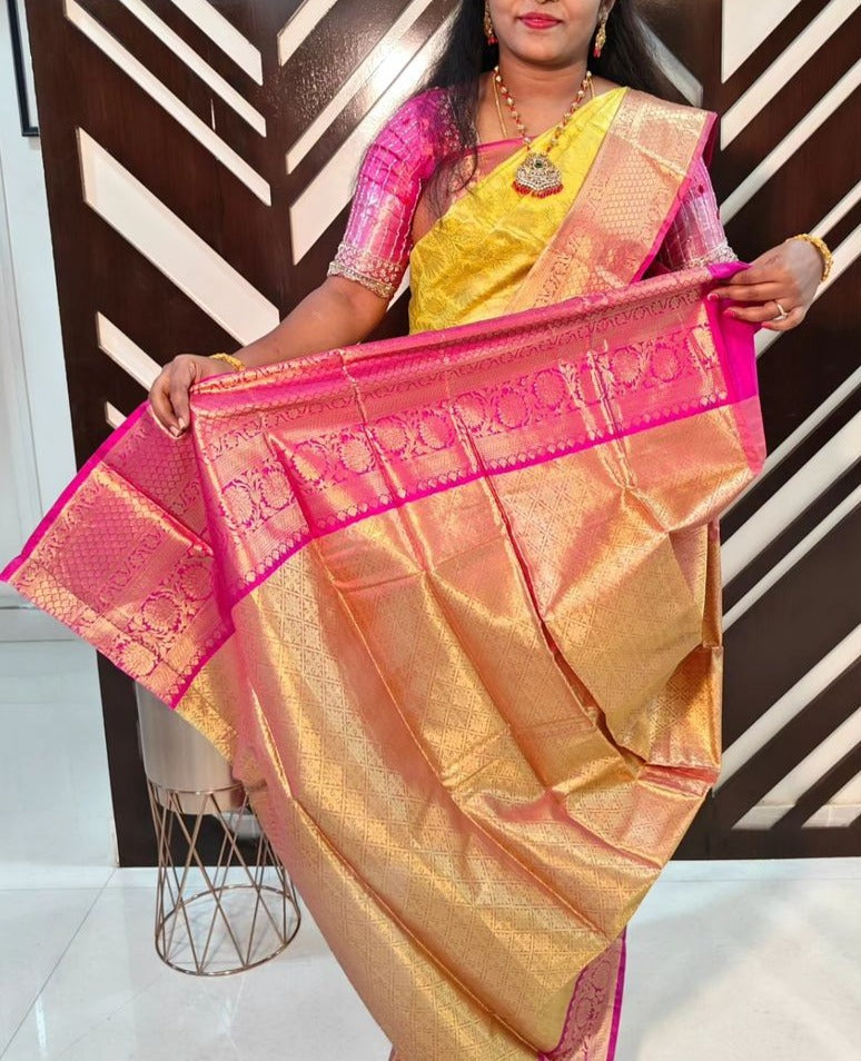 Timeless Heritage - Banarasi Tissue Silk