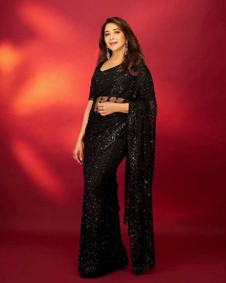 Black Net - Dixits' Inspired Saree