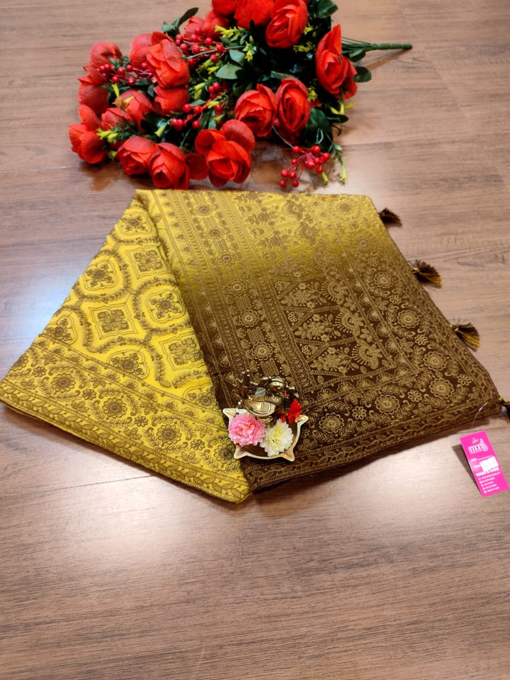 Spill the beans Of Beauty(Dual Tone Saree)