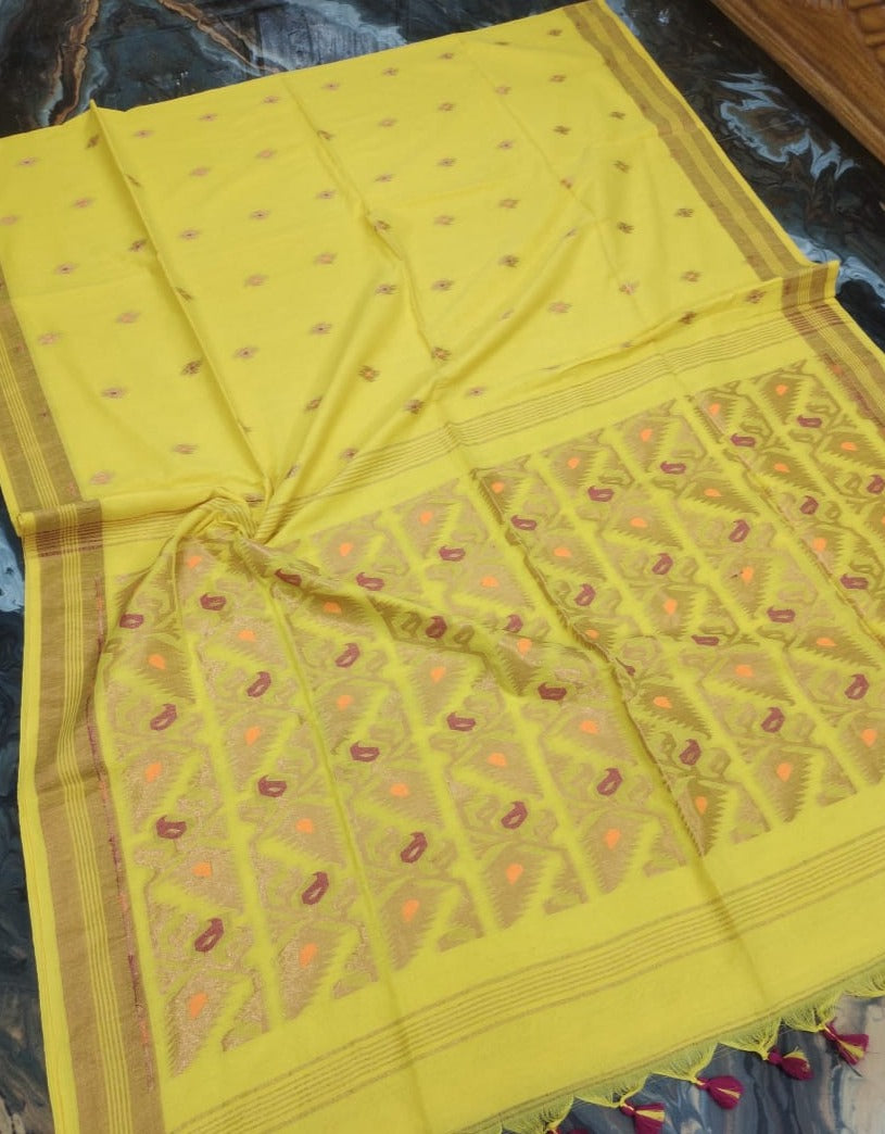 Samyati -The Traveler Benarasi Saree