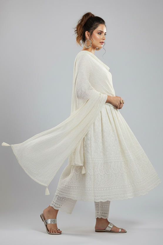 Winsome Cotton Chikankari kurti
