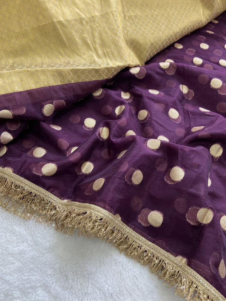 Ripples Of Grace Organza Silk Saree