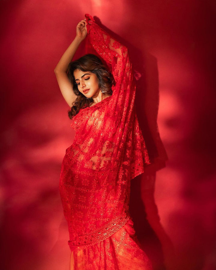 Red Bell Model Inspired Organza Saree