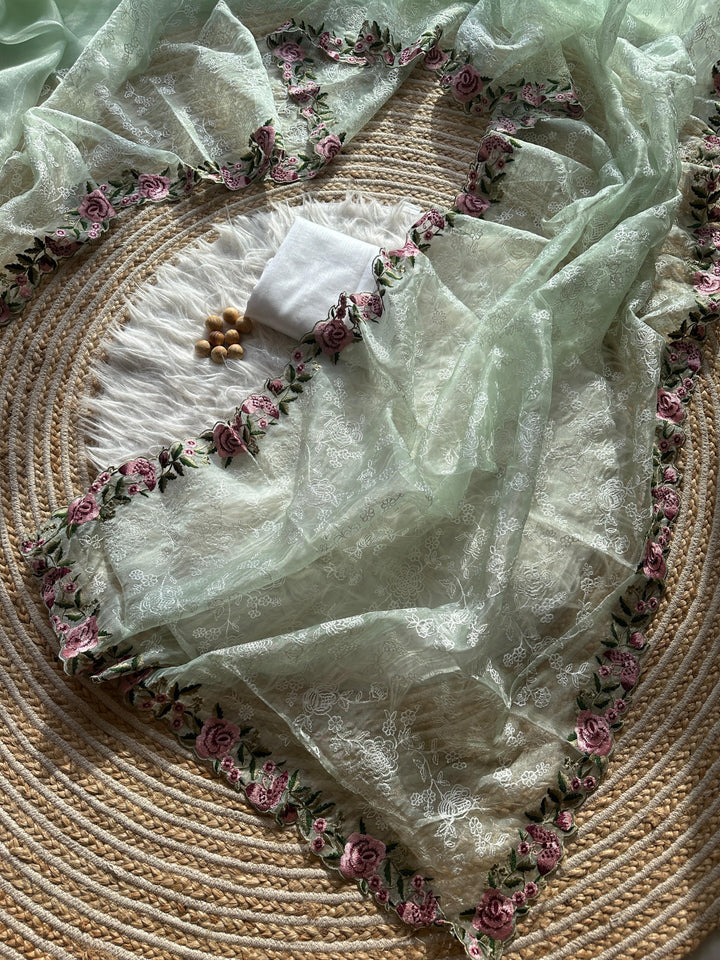 An Soft Touch-Organza Saree