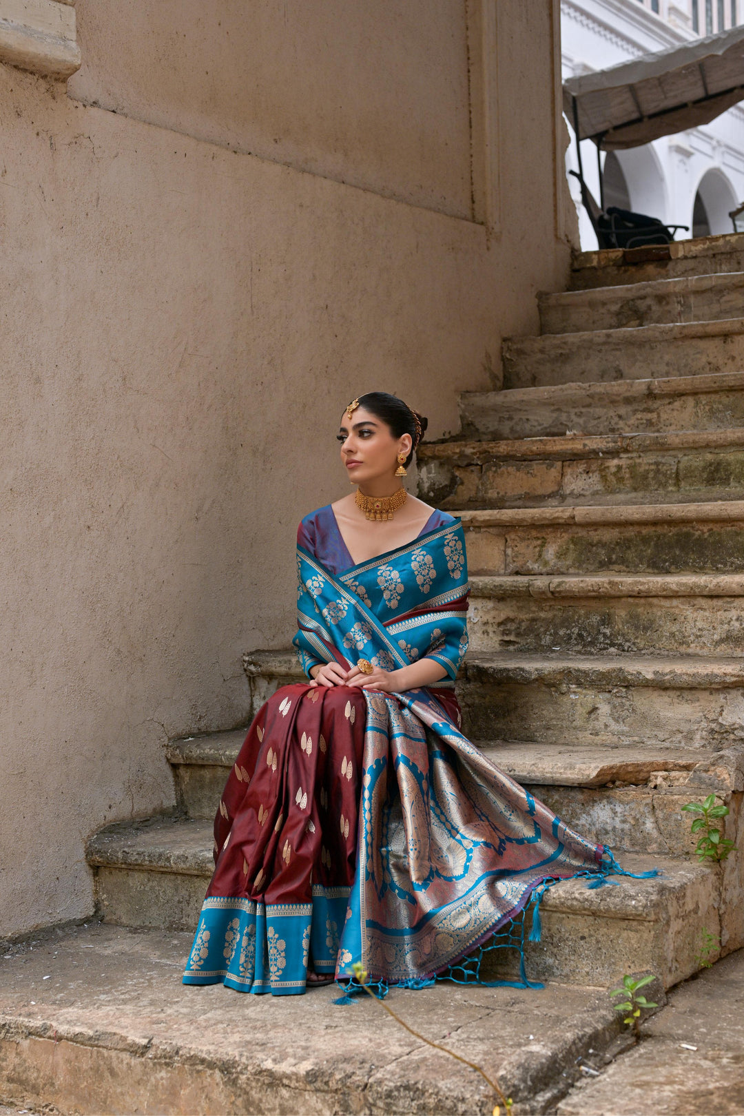 Wave After Wave Banarasi Silk Brown Saree