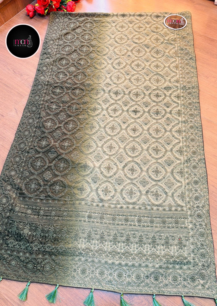 Spill the beans Of Beauty(Embroidery Saree)