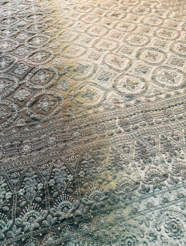 Spill the beans Of Beauty(Embroidery Saree)