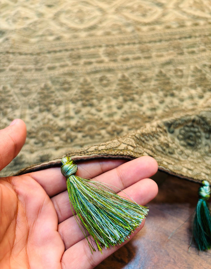 Spill the beans Of Beauty(Embroidery Saree)