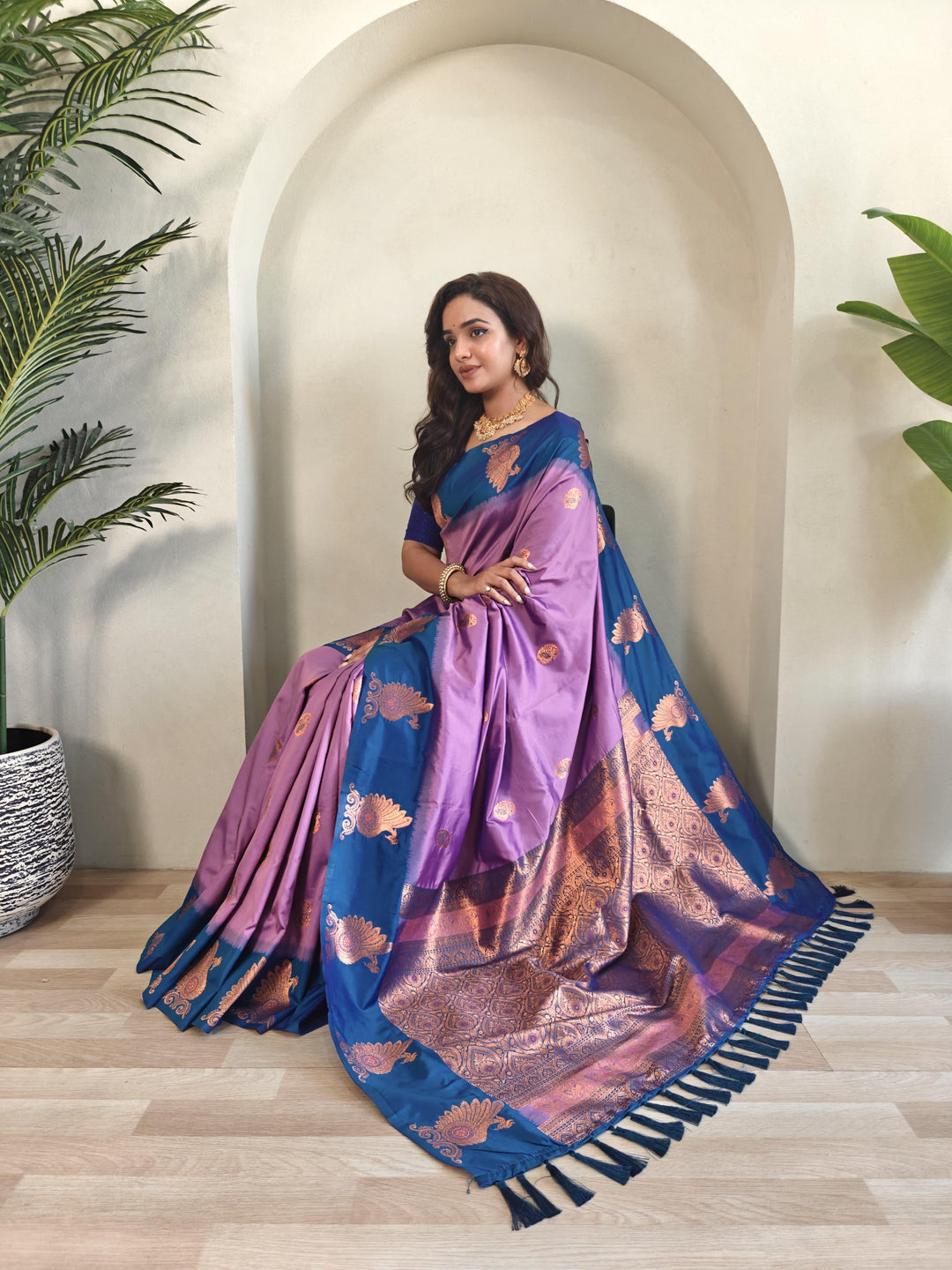 For The New Age Fancy Silk Saree