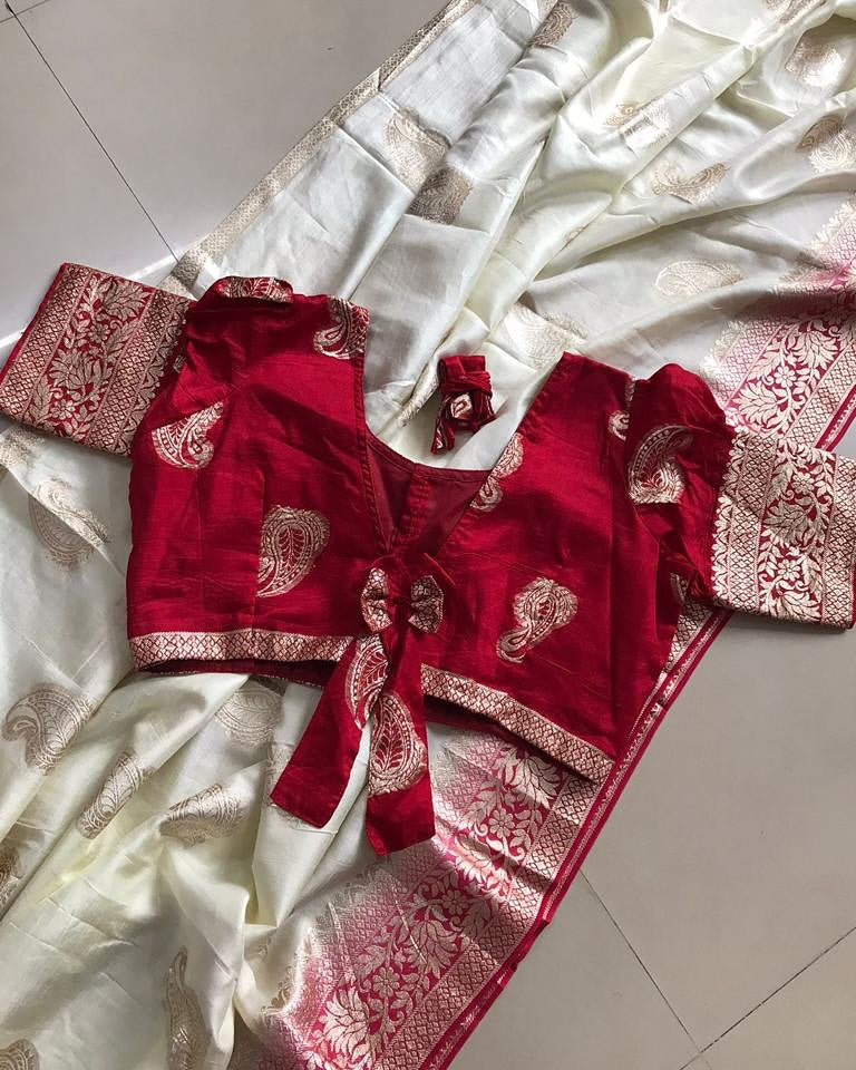 Born To Sparkle Fancy Silk Saree