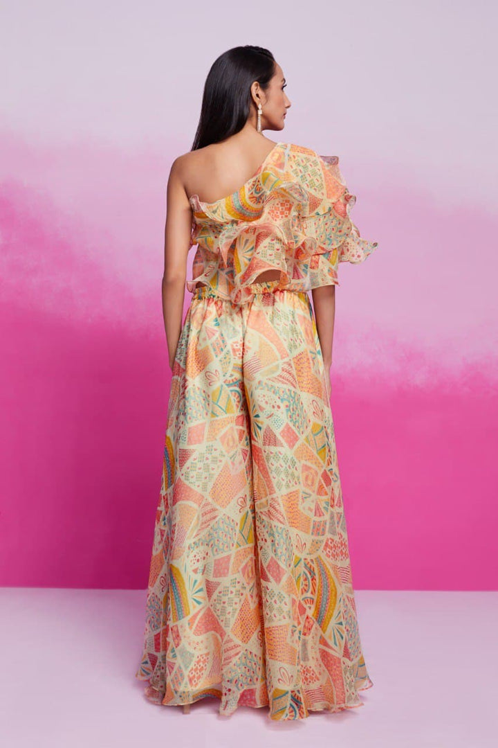 Roohani Raag Designer Organza Dress