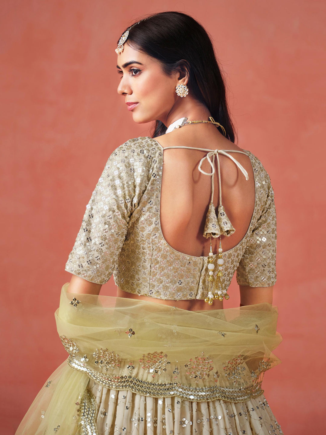 Meher Melody Georgette Lehenga