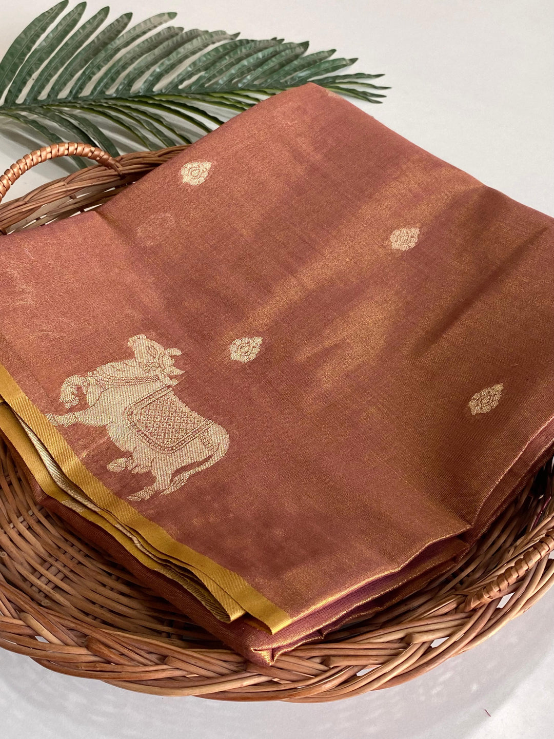 Forever Beautiful Tissue Silk Saree